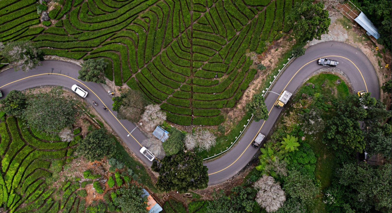 12 Iconic US Race Tracks Every Motorsport Fan Should Experience | USAvora